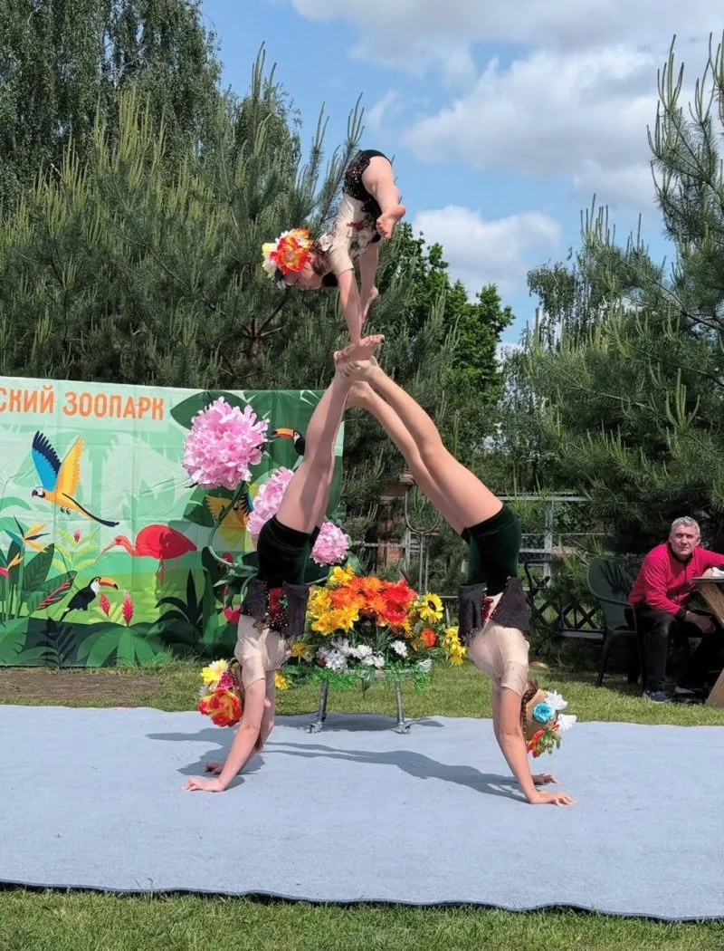 Полина Белоусова Полина Белоусова