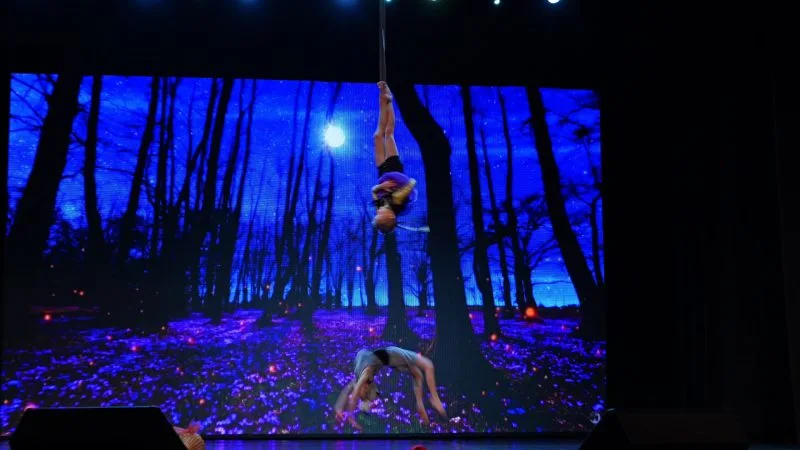 Выступление на фестивале ART MIX 13 декабря 2025 года