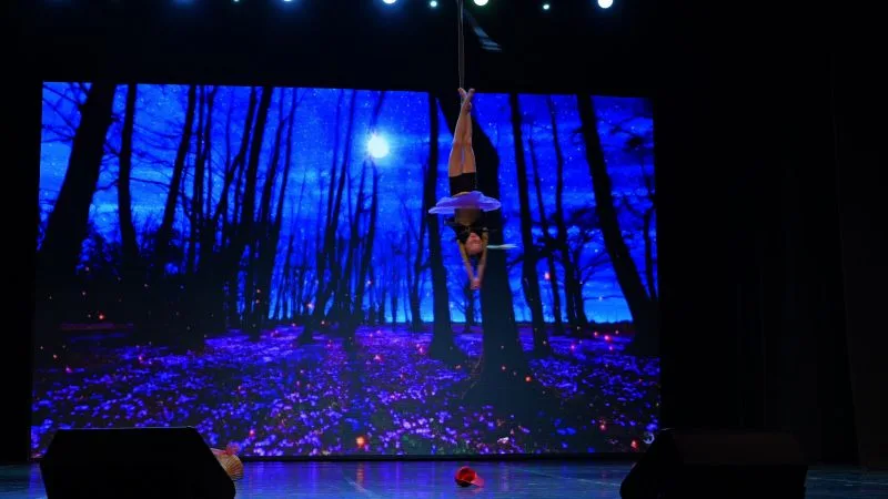 Выступление на фестивале ART MIX 13 декабря 2025 года